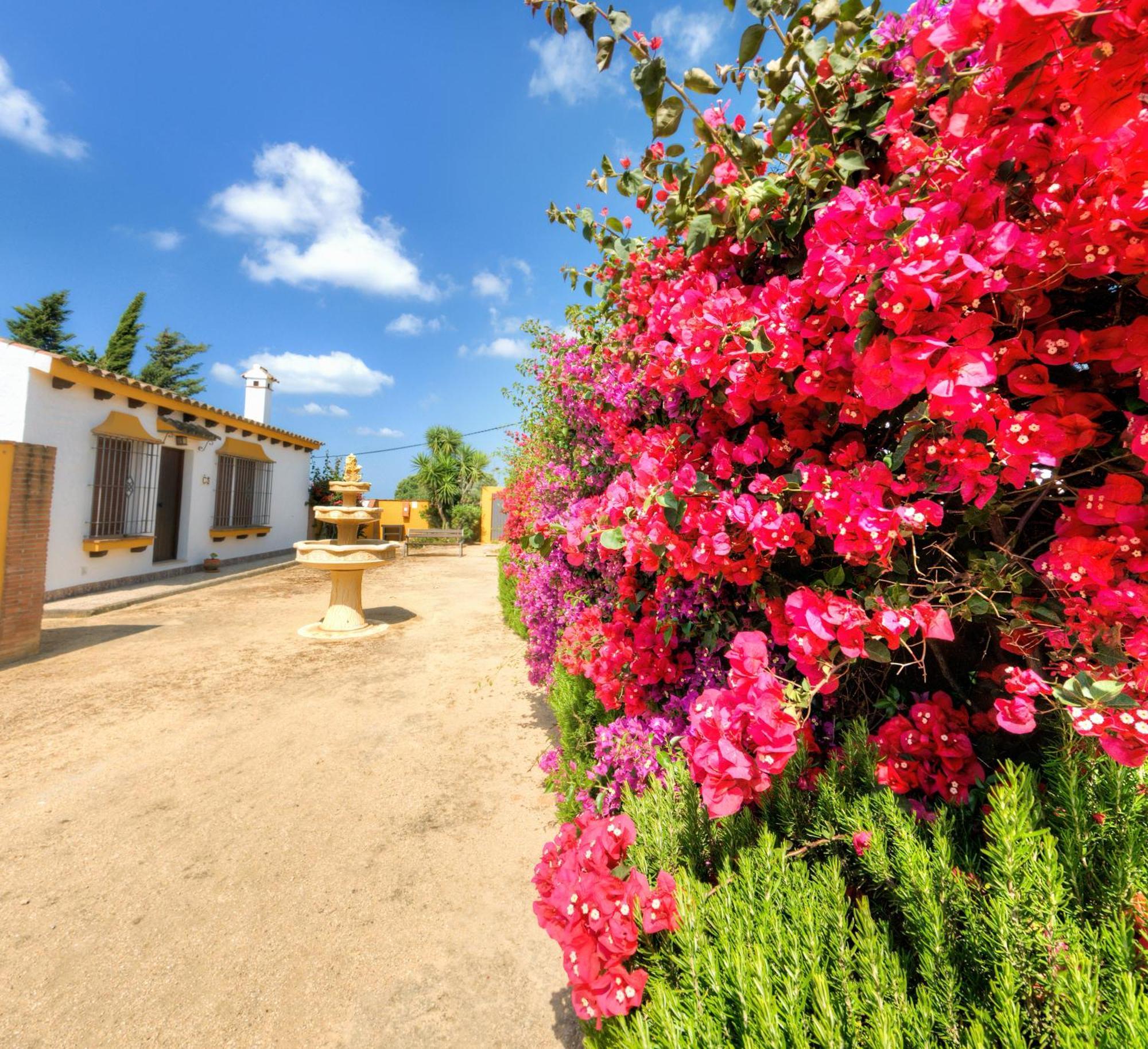 Hacienda Los Majadales 콘일데라프론테라 외부 사진